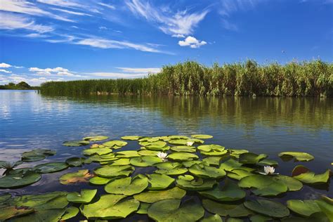 The Danube Delta & Black Sea Coast travel .